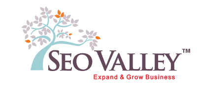 Google Penalty Recovery Services, Manual Penalty Removal | SEOValley™ Solutions