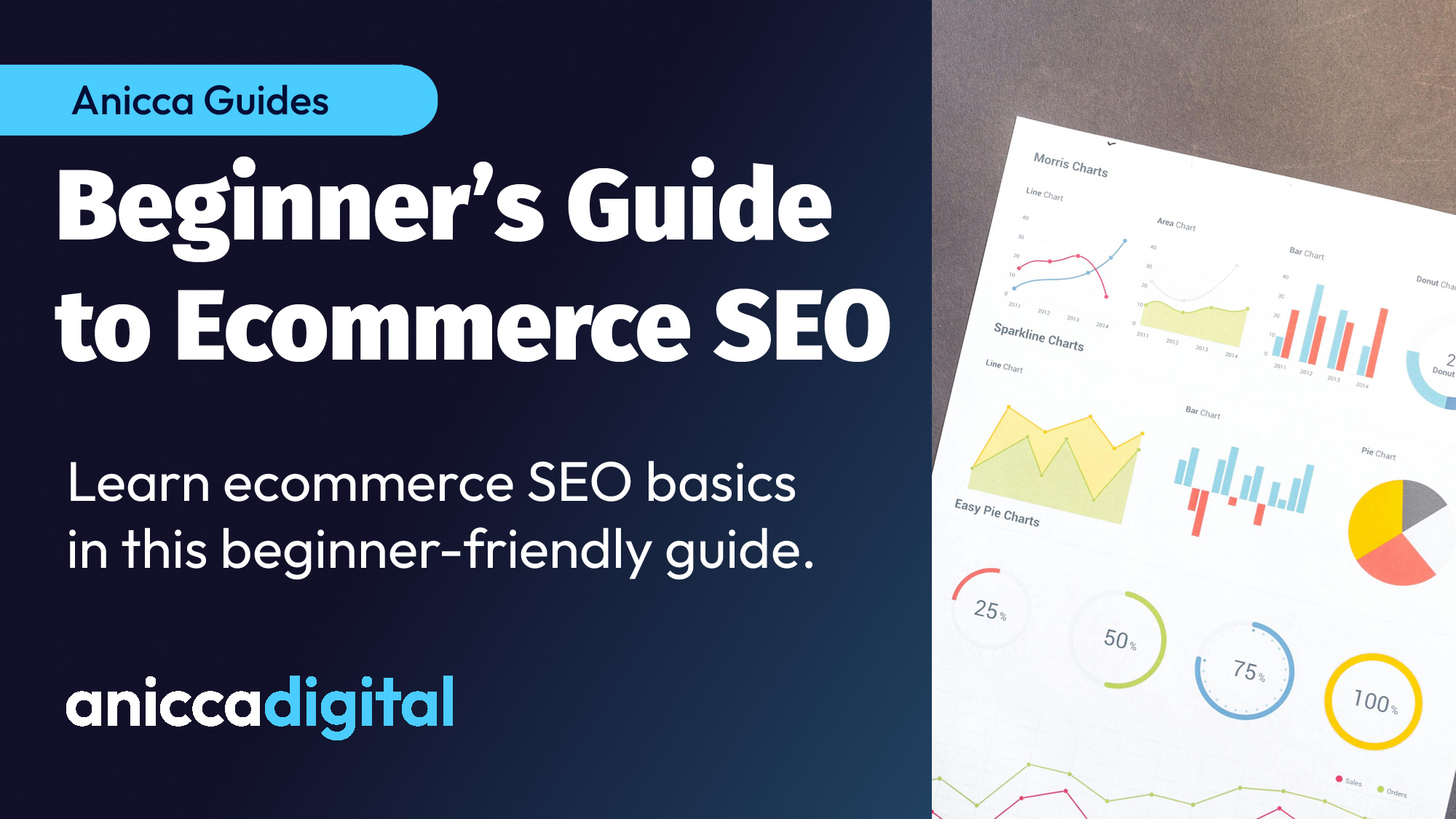 Beginner's Guide to Ecommerce SEO