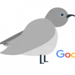A pigeon graphic representing the Pigeon algorithm update