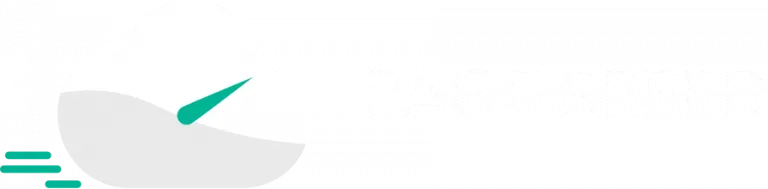 Page Speed Software